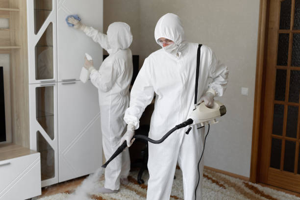 Best Certified Mold Removal  in Hebron Estates, KY