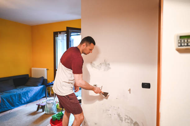 Certified Mold Removal in Hebron Estates, KY